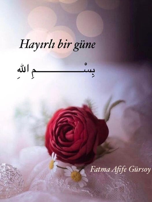 Kehf / 69. Ayet