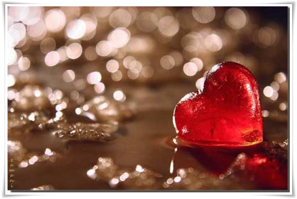 1477379_641923505878709_372076739_n